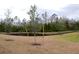 Small community pond surrounded by grass and young trees at 16851 Forge Surf St, Land O Lakes, FL 34638