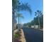 Gated community entrance with paved road and tropical landscaping at 3020 Sheppards Crook Ct, Holiday, FL 34691