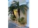 Landscaped area with palm trees and decorative stones at 3020 Sheppards Crook Ct, Holiday, FL 34691
