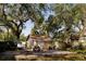 Backyard view with shed, outdoor furniture, trees, and grill at 8303 N Mulberry St, Tampa, FL 33604