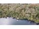 Aerial shot of a dock on a tranquil lake, surrounded by lush greenery and trees at 12119 Hunters Lake Dr, New Port Richey, FL 34654