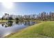 Tranquil pond with green grass and trees in the background at 19218 Alexandrea Lee Ct, Land O Lakes, FL 34638