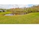 Scenic pond view with a grassy lawn and surrounding trees at 2003 Halmrock Pl, Sun City Center, FL 33573
