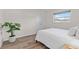Light-filled bedroom with a minimalist bed, a plant and a window to the outside at 5101 Huntington Ne Cir, St Petersburg, FL 33703