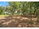 Wooded area provides a natural and private setting at 4508 Redcoat Dr, Wesley Chapel, FL 33543