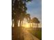 Scenic walkway leading to the beach at sunset, lined with palm trees at 880 Mandalay Ave # C314, Clearwater Beach, FL 33767
