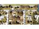 Property location shown with surrounding homes and streets at 3700 Dana Shores Dr, Tampa, FL 33634