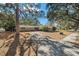 Ranch-style home with mature landscaping and a large yard at 3700 Dana Shores Dr, Tampa, FL 33634