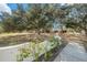 Spacious front yard with mature trees and a white wall at 3700 Dana Shores Dr, Tampa, FL 33634