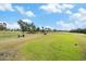 Scenic golf course with lush fairways and palm trees at 3700 Dana Shores Dr, Tampa, FL 33634