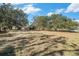 Large side yard with mature trees and grassy area at 3700 Dana Shores Dr, Tampa, FL 33634