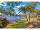 Peaceful backyard with a lake view and lush landscaping at 1160 Darlington Oak Ne Dr, St Petersburg, FL 33703