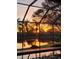 Sunset view from screened-in pool over water with palm trees at 1160 Darlington Oak Ne Dr, St Petersburg, FL 33703