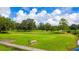 Lush green space perfect for relaxation and outdoor activities at 37226 Lakewood Dr, Zephyrhills, FL 33542