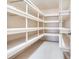Large pantry with ample shelving for storage at 18120 Wayne Rd, Odessa, FL 33556