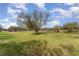 Open pasture with large oak trees and lush grass at 2731 Logue Rd, Myakka City, FL 34251