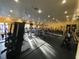 Well-equipped fitness center with various exercise machines at 1910 E Palm Ave # 10303, Tampa, FL 33605