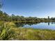 Tranquil lake view with a natural shoreline and lush vegetation at 11846 Mile Marsh Dr, Riverview, FL 33569