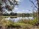 Serene lake view with lush greenery and trees at 11846 Mile Marsh Dr, Riverview, FL 33569