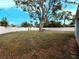 Large grassy side yard with a mature tree and white fence at 1817 Oregon Ne Ave, St Petersburg, FL 33703