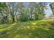 Spacious backyard with lush lawn and mature trees at 2212 Valterra Vista Way, Valrico, FL 33594