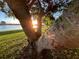 Sunset view from behind large tree, overlooking grassy backyard and lake at 2765 Mauritania Rd, Punta Gorda, FL 33983
