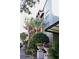 Building exterior showcasing landscaping and architectural details at 504 S Armenia Ave # 1323, Tampa, FL 33609