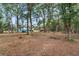 Spacious backyard with mature trees and a small red shed, creating a private and peaceful outdoor space at 5250 Little Green Ln, Dade City, FL 33523