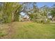 Large grassy backyard with mature trees and a home in the background at 5819 Little River Dr, Tampa, FL 33615