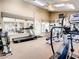 Community gym featuring modern cardio equipment and weightlifting machines in a well lit room with natural light at 9100 Dr Martin Luther King Jr N St # 1706, St Petersburg, FL 33702