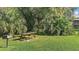 Outdoor picnic area complete with a wooden picnic table, grill, and lush greenery at 9100 Dr Martin Luther King Jr N St # 1706, St Petersburg, FL 33702