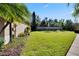 Spacious backyard with grassy lawn, palm trees, and a partial view of a fence at 204 Mystic Falls Dr, Apollo Beach, FL 33572