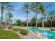 Relaxing lagoon-style pool at 204 Mystic Falls Dr, Apollo Beach, FL 33572