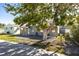 Newly renovated duplex with gray exterior, landscaping, and large tree at 255 146Th Ave E, Madeira Beach, FL 33708