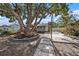 Mature tree and flagstone path in the backyard at 4809 11Th S Ave, St Petersburg, FL 33711