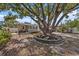 Large backyard with mature tree and patio at 4809 11Th S Ave, St Petersburg, FL 33711