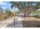 Large backyard with mature tree, patio, and landscaping at 4809 11Th S Ave, St Petersburg, FL 33711