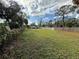 Vacant lot, grassy area, and neighboring houses at 10002 Memorial Hwy, Tampa, FL 33615