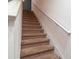 Carpeted staircase leading to the upper level at 12827 Buffalo Run Dr, Gibsonton, FL 33534