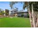 Landscaped front yard with artificial turf and palm trees at 4708 W Oklahoma Ave, Tampa, FL 33616