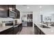 Modern kitchen with dark cabinets and stainless steel appliances at 5259 Salt Marsh Rd, Wimauma, FL 33598