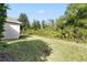 Large backyard with grassy area at 10234 Evergreen Hill Dr, Tampa, FL 33647