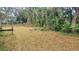 Vacant lot with overgrown vegetation at 12403 Banbury Ave, New Port Richey, FL 34654