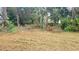 Vacant lot with overgrown vegetation at 12403 Banbury Ave, New Port Richey, FL 34654