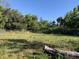 Large grassy backyard with mature trees and open space at 37210 Bermont Rd, Punta Gorda, FL 33982