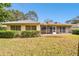 Spacious backyard with screened patio, mature landscaping, and large grassy area at 970 Rolling Hills Dr, Palm Harbor, FL 34683