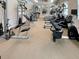 Well-equipped fitness center with various exercise machines at 11976 Blazing Star Dr, Venice, FL 34293