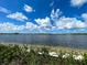 Scenic view of a tranquil lake under a vibrant blue sky at 11976 Blazing Star Dr, Venice, FL 34293