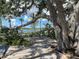Tranquil seating area under a large shade tree with lake views at 11976 Blazing Star Dr, Venice, FL 34293