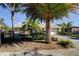 Inviting home featuring mature palm trees and a well-manicured lawn adding to its curb appeal at 1612 Sunset Dr, Tarpon Springs, FL 34689